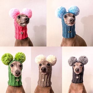 Hat Italian Greyhound Italian Greyhound Galgo Italiano Two pompoms Original Azul Perro