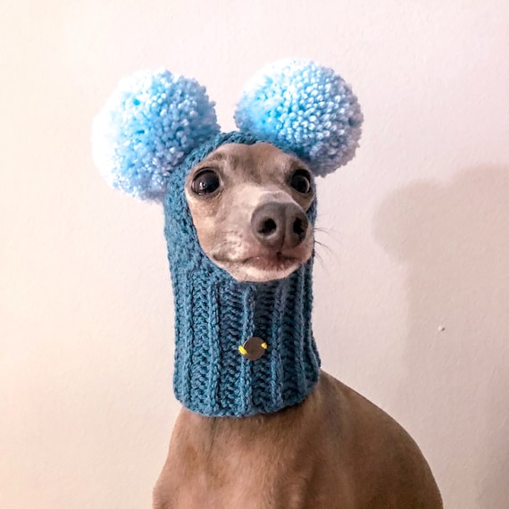 Hat Italian Greyhound Charcik Włochy Galgo Italiano Two Pompoms