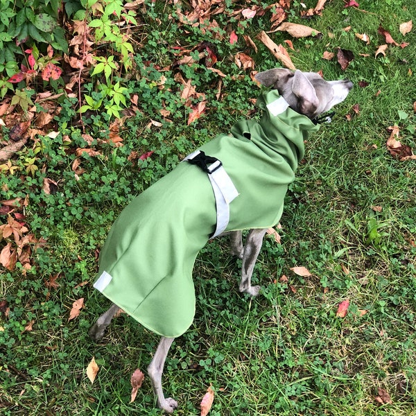Italian Greyhound Raincoat Olive