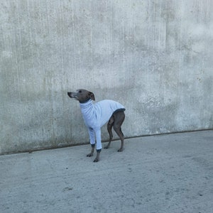 Pull Lévrier Italien manches longues Gris&Gris Foncé