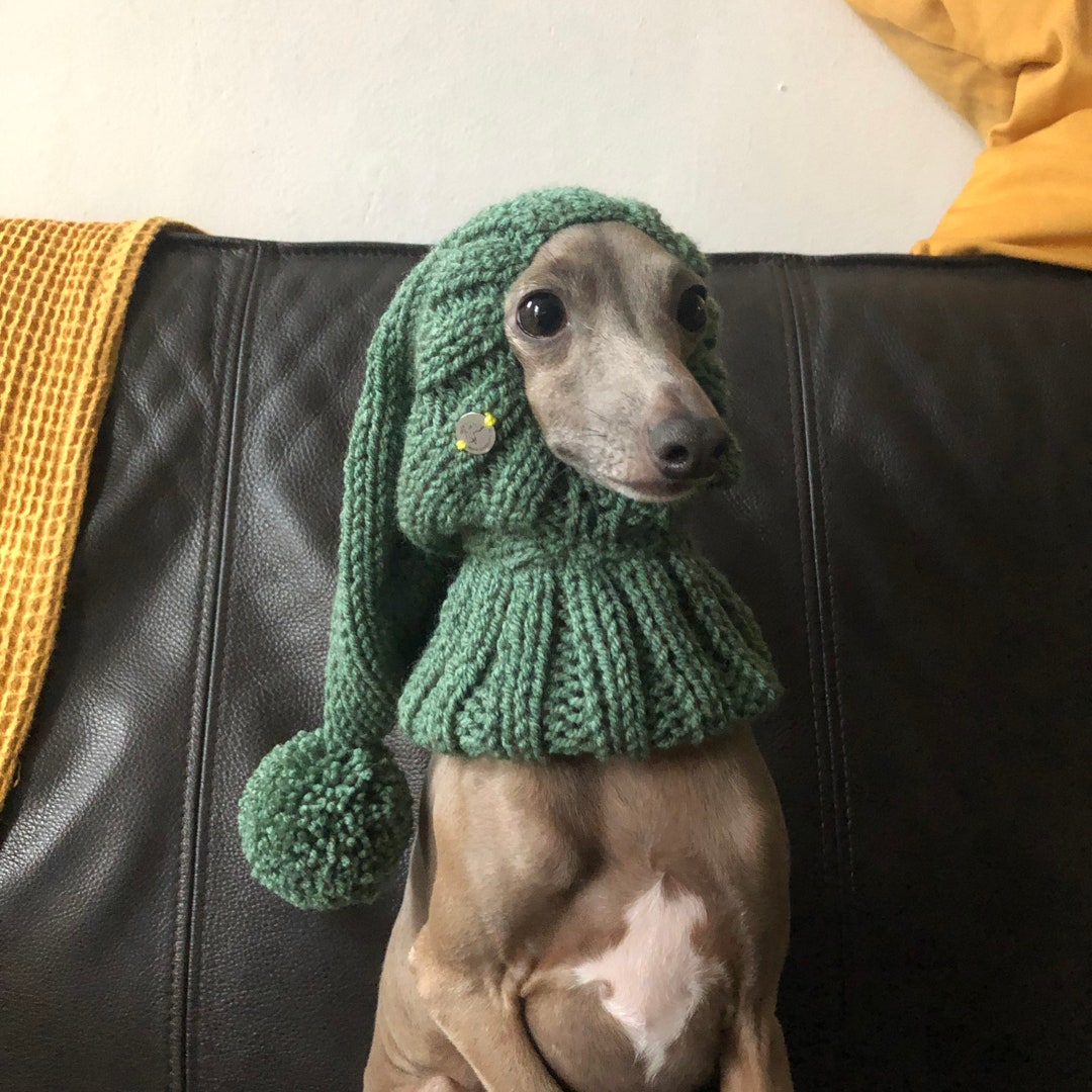 Hat Italian Greyhound Italian Greyhound Galgo Italiano Green Etsy