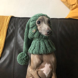 Hat Italian Greyhound Italian Greyhound Galgo Italiano green