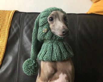 Hat Italian Greyhound Italian Greyhound Galgo Italiano green