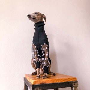 Italian Greyhound jumper Black tulle sleeves