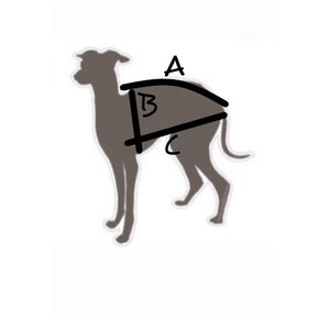 Italian Greyhound jumper Black tulle sleeves polka dots image 3