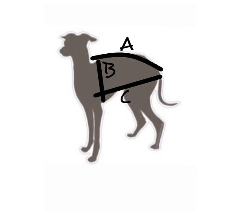 Italian Greyhound jumper Black tulle sleeves polka dots image 3