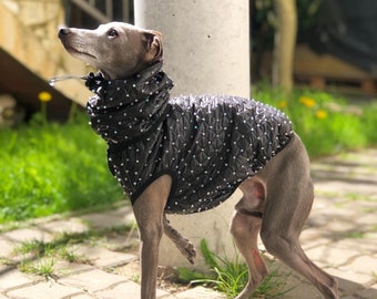 Italian Greyhound Disco Ball Vest and Snood