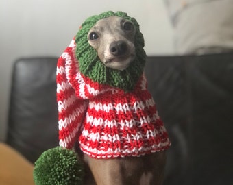 Hand Made Santa Knit hat Italian Greyhound Galgo Italiano Christmas