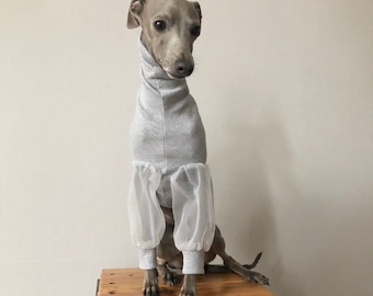 Italian Greyhound jumper Gray tulle sleeves