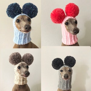 May include: Four Italian Greyhound dogs wearing knitted hats with pom-poms. The hats are in blue, pink, beige, and gray. The dogs are looking at the camera.