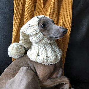 Cap Italian Greyhound Italian Greyhound Galgo Italiano