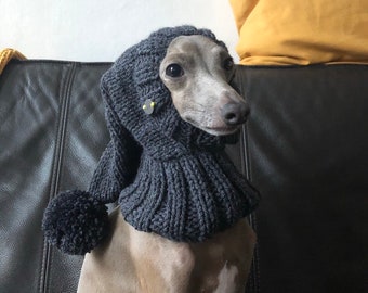 Cap Italian Greyhound Italian Greyhound Galgo Italiano Dark Grey