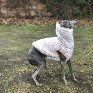 Italian Greyhound Sherpa Vest (teddy) LIMITED