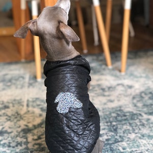 Gilet de lévrier italien avec Crystal Iggy