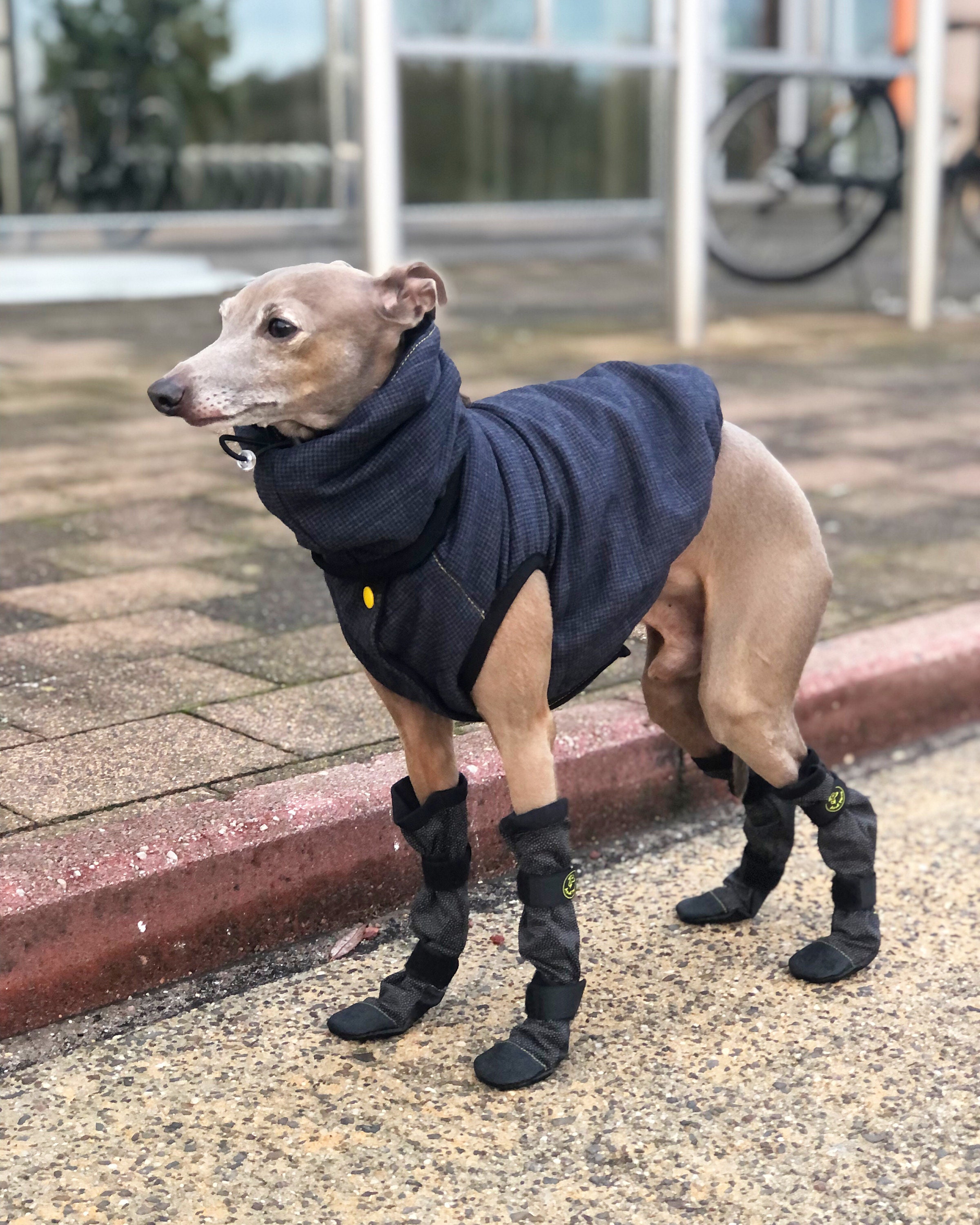 Greyhound Dog Boots Etsy