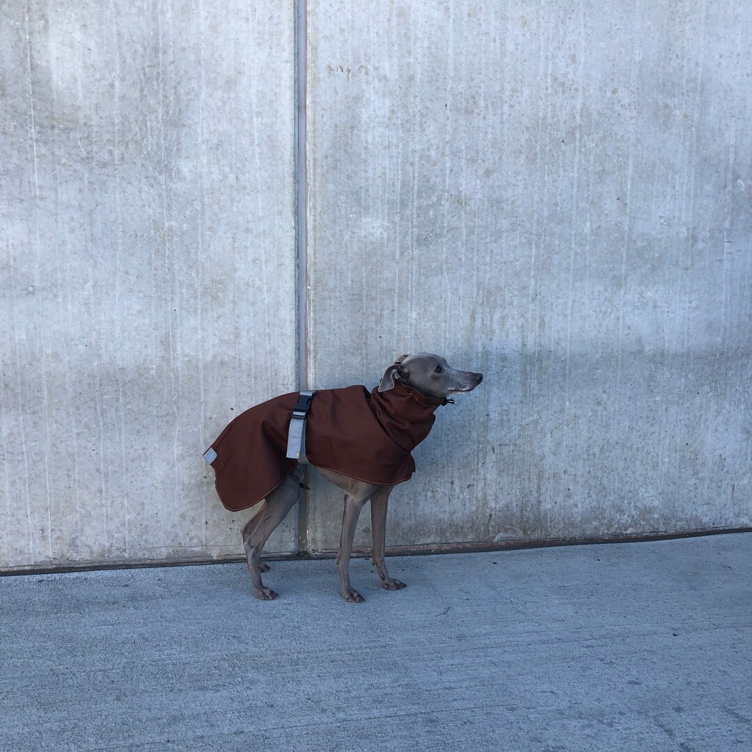 Italian Greyhound Raincoat Chocolate Raincoat for CHARCIKA Etsy Denmark