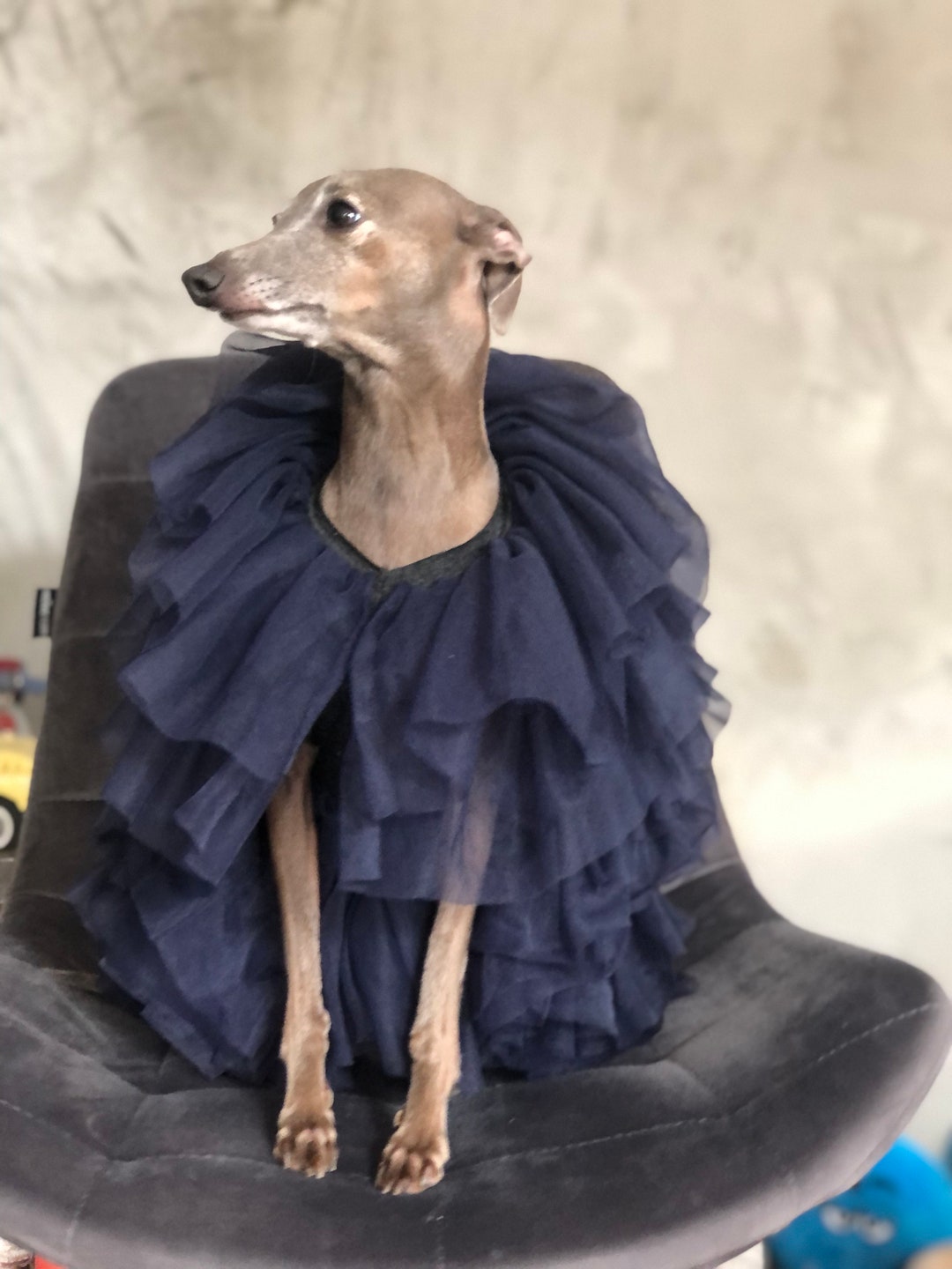 Italian Greyhound Dress Old Rose Etsy