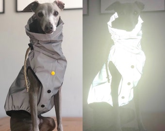 Italian Greyhound Waterproof/Windproof Reflective Jacket