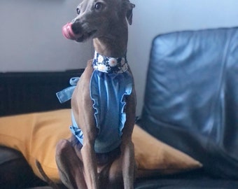 Italian Greyhound denim top with a tulle