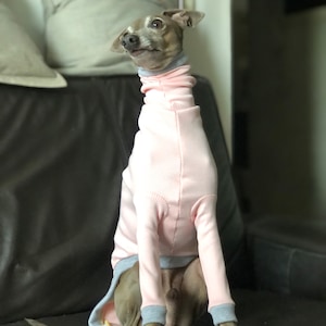 Pull lévrier italien Rose clair/gris clair