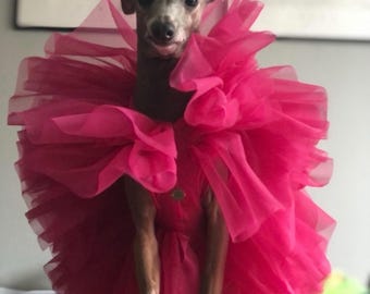 Italian Greyhound tulle dress MORE COLORS