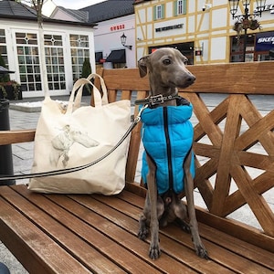 May include: A grey Italian Greyhound dog wearing a blue puffer vest and a black collar is sitting on a wooden bench. The dog is looking to the right of the image. A white tote bag with a grey and white illustration of a dog is on the bench to the left of the dog.