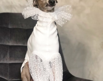 Italian Greyhound jumper with tulle sleeves & neclace