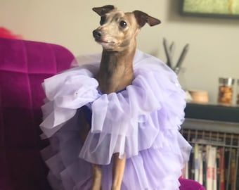Italian Greyhound dress Purple
