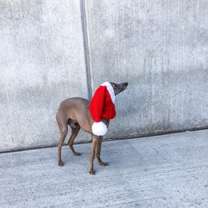 Hand Made Santa Knit hat Italian Greyhound Galgo Italiano Christmas