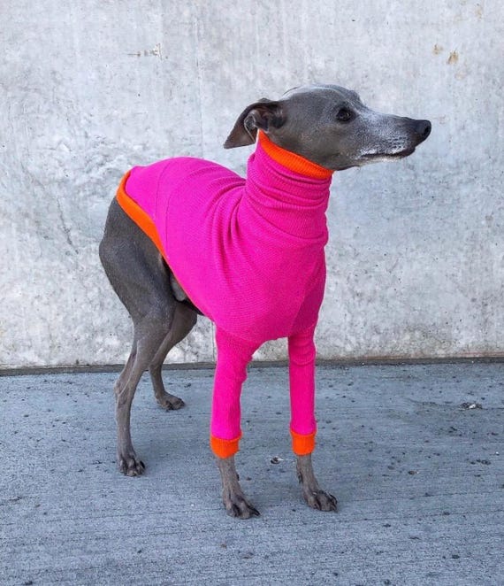 Pull Levrier Italien Fuchsia orange manches longues Etsy France