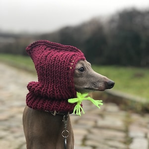 Merino Balaclava hat Italian Greyhound burgundy/neon