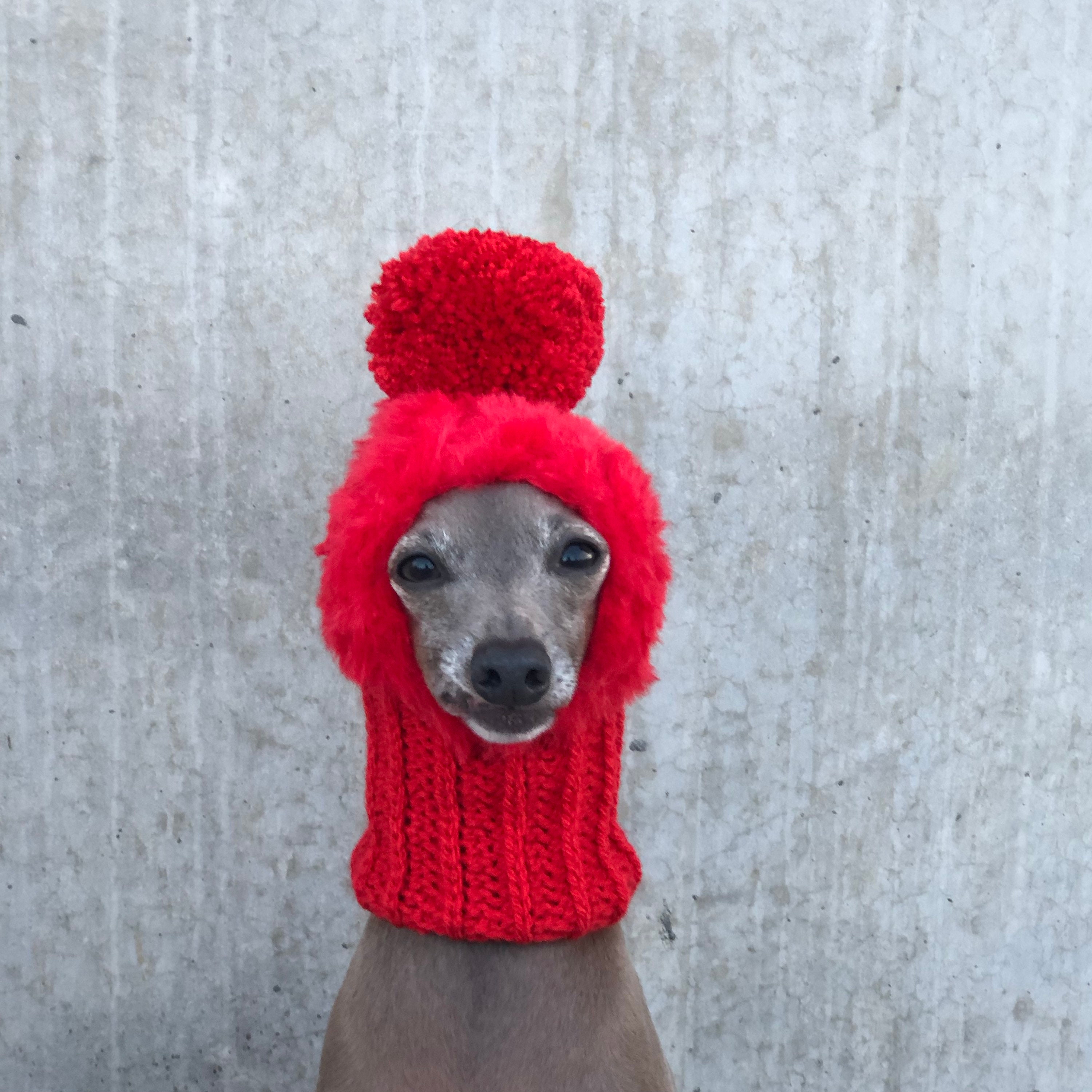 Hat Italian Greyhound Italian Greyhound Galgo Italiano Fluffy Red Etsy