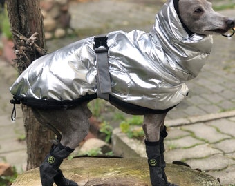 Italian Greyhound Wintercoat Silver