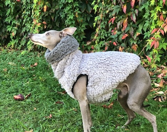 Italian Greyhound Sherpa Vest (teddy) LIMITED