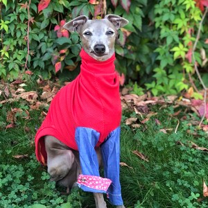 Italienischer Windhundpullover mit Jeansärmeln