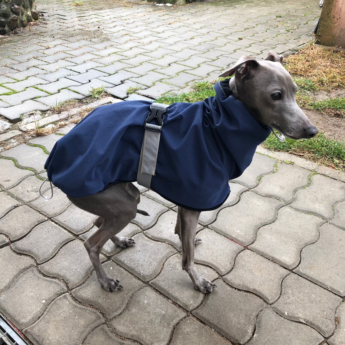 Italian Greyhound Raincoat Navy Raincoat for CHARCIKA Etsy