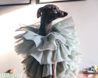 Italienisches Windhund-Tüllkleid doppelt