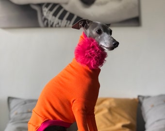 Italian Greyhound jumper Orange/fuchsia