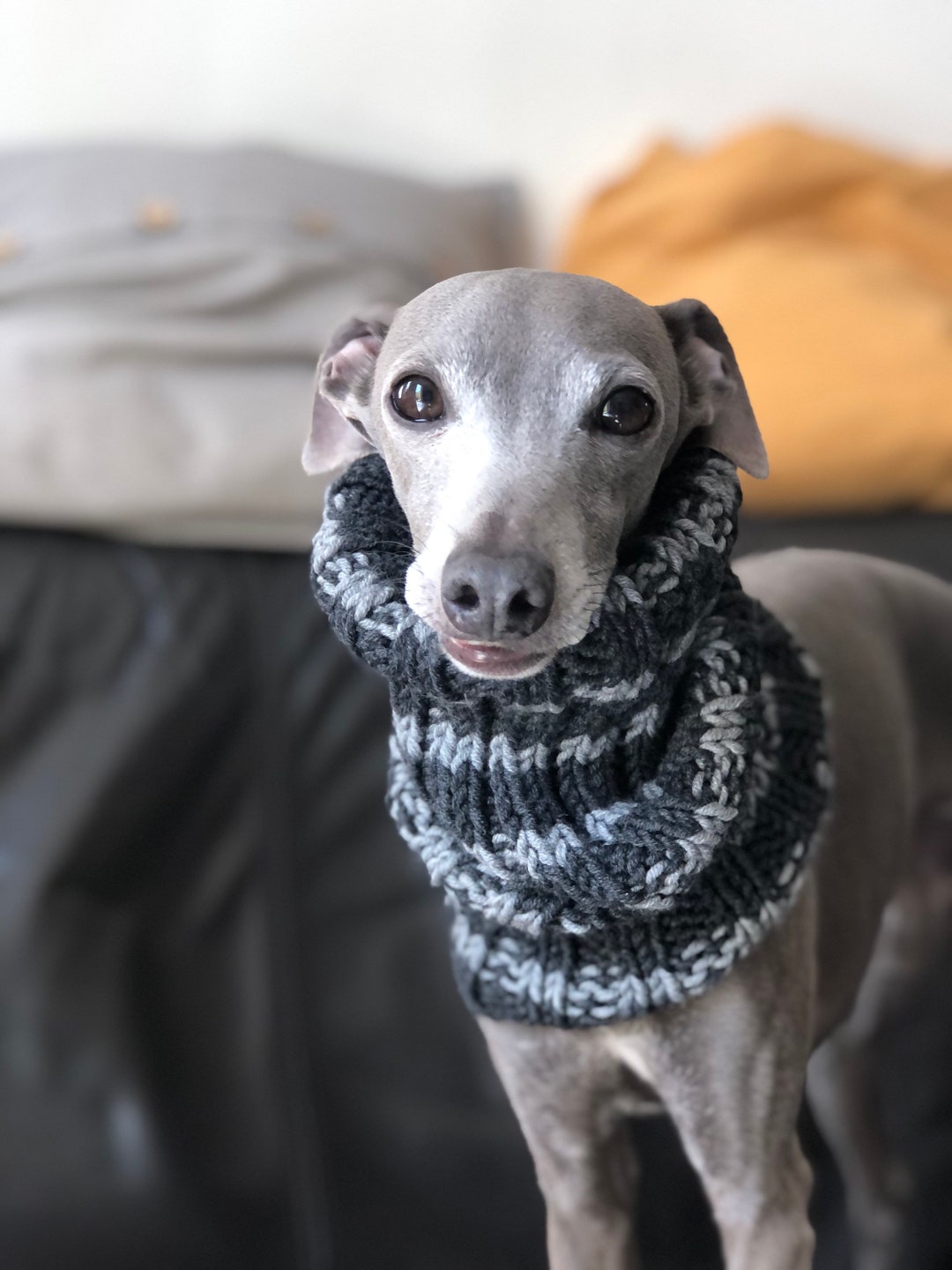 Snood Neck Warmer for Dog Chimney, Merino Wool Neck Warmer for Dogs Etsy
