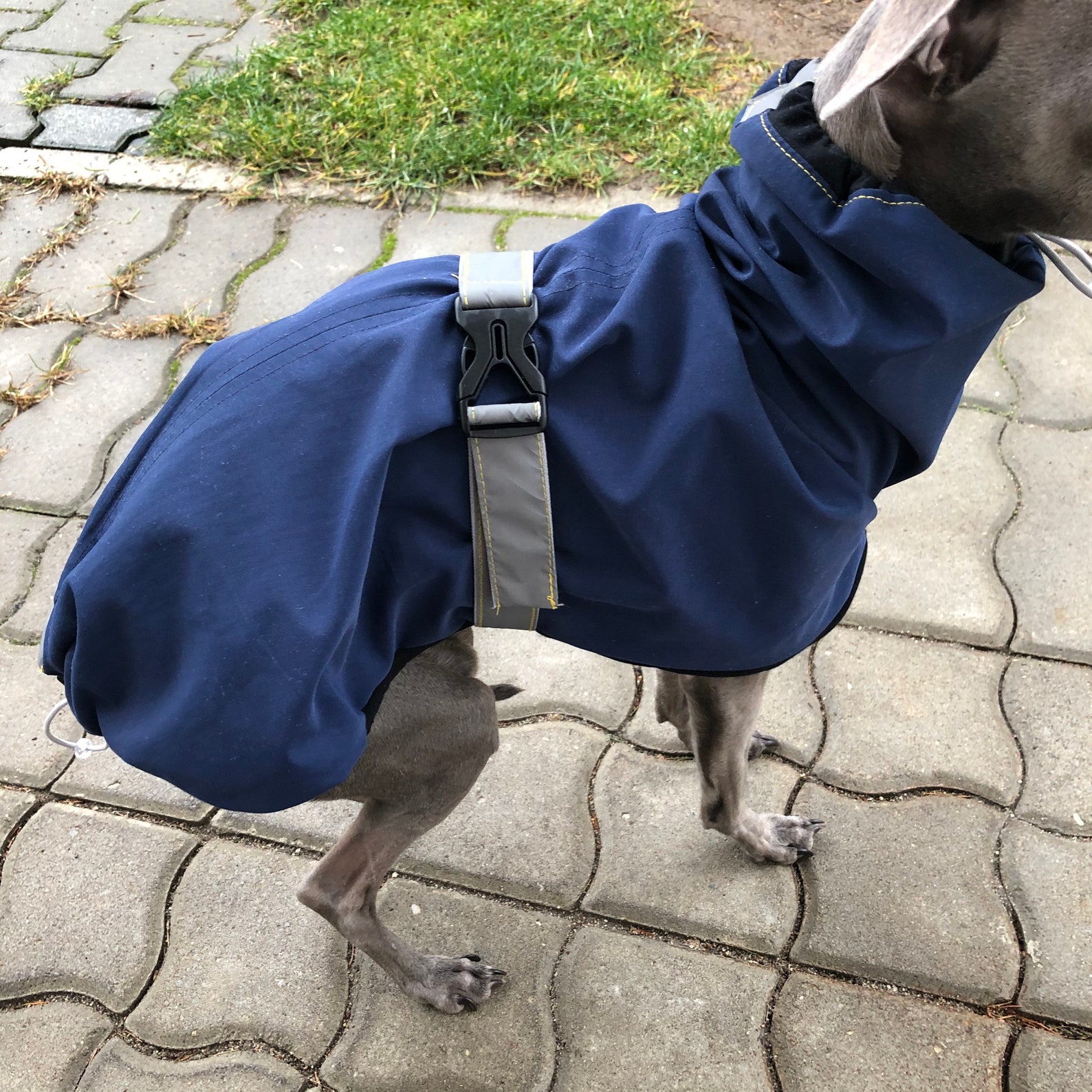 Italian Greyhound Raincoat Navy Raincoat for CHARCIKA Etsy