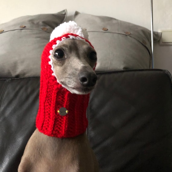 Hat Italian Greyhound Italian Greyhound Galgo Italiano Christmas