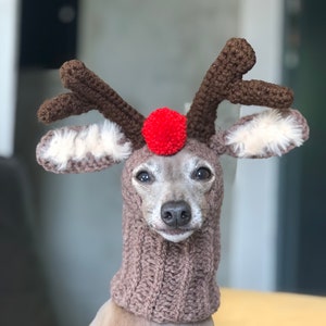 Handgefertigte Strickmütze italienischer Windhund Galgo Italiano Weihnachten Rudolf die rote Nase