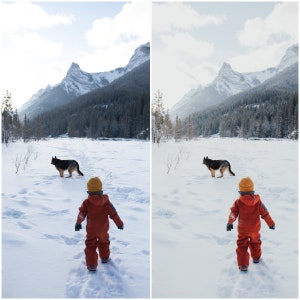 May include: A child in a red snowsuit and yellow hat walks towards a German Shepherd dog in a snowy field with mountains in the background.