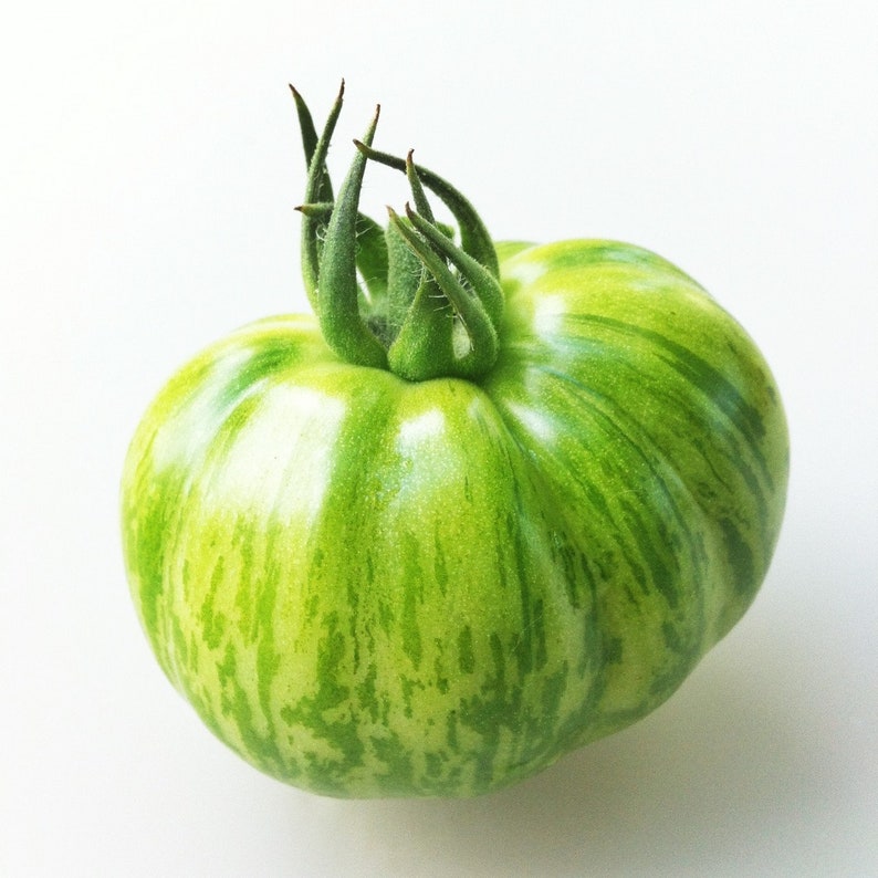 green zebra tomato green zebra tomato