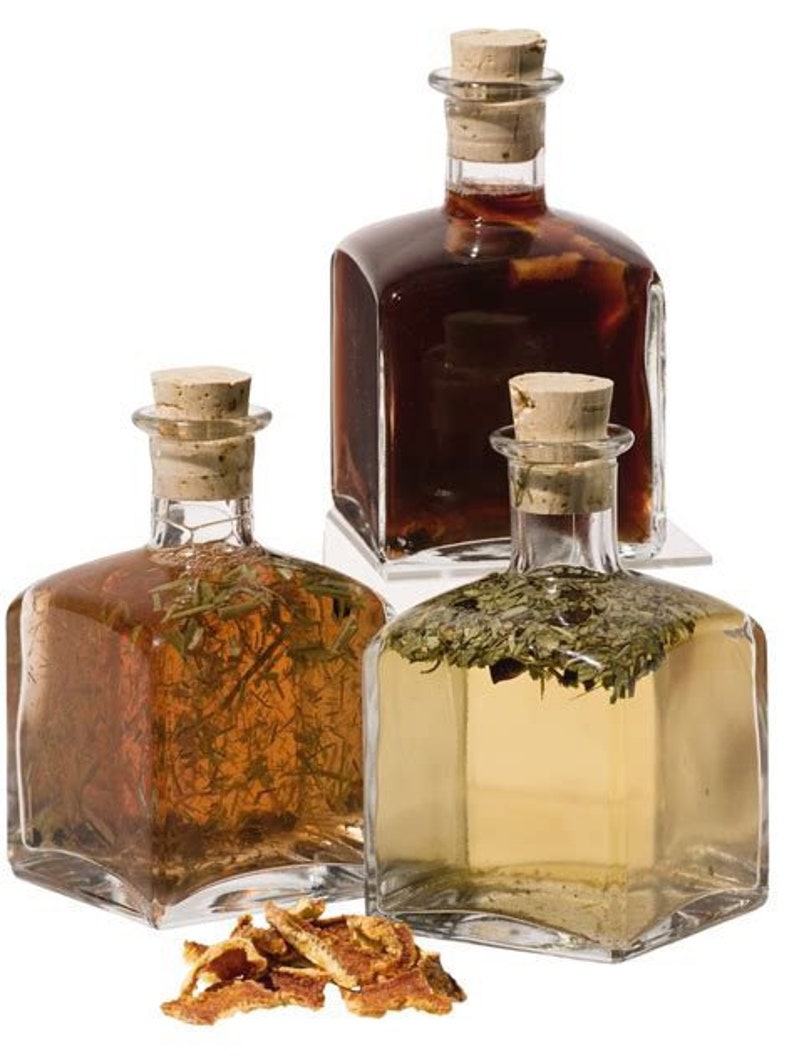 Vinegar Mother Red Wine SCOBY Fermentation Pre and Probiotic Etsy