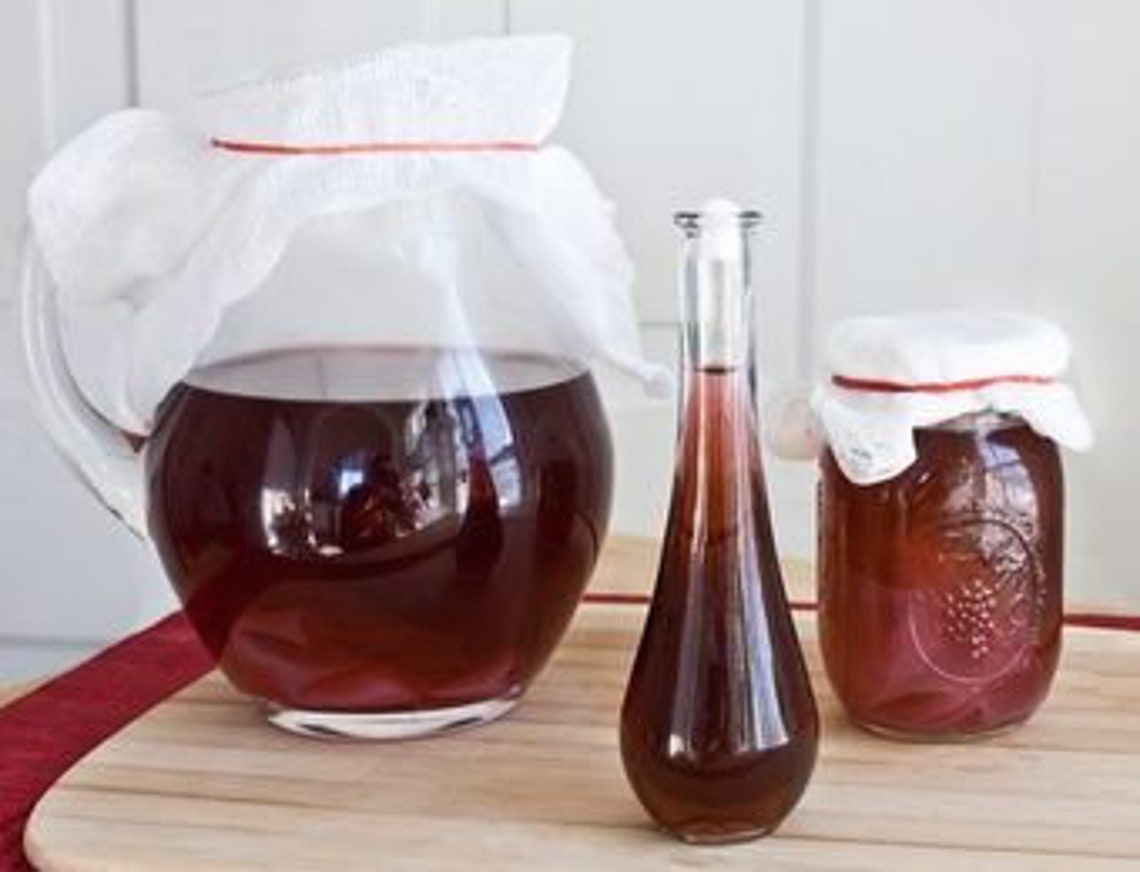 Vinegar Mother Red Wine SCOBY Fermentation Pre and Probiotic Etsy