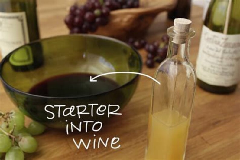 Vinegar Mother Red Wine SCOBY Fermentation Pre and Probiotic Etsy