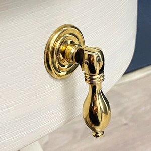 May include: A polished brass cabinet knob with a rounded, teardrop-shaped handle and a circular base.