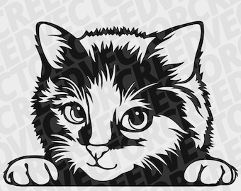 lindo gato, gato mirando, gatito divertido, gato svg, mascota svg, cara divertida animal, png imprimible, plasma de archivo cortado por láser DXF, camisa svg, ilustración