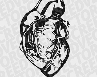 Human heart svg, anatomical heart svg, love svg, medical svg, heart clipart, stencil cutting file, cricut, silhouette svg, vector
